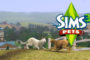 The Sims 3 Pets