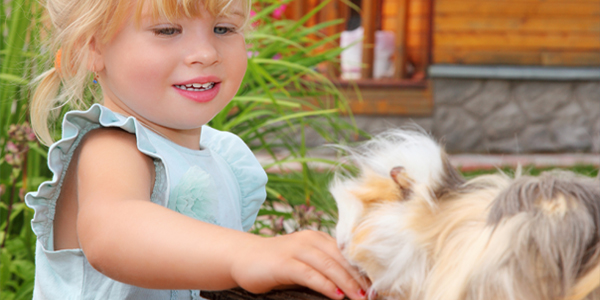 Pet benefits for your Children